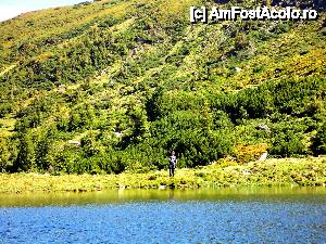 [P38] Un pastrav tentant in lac...  » foto by liniuta
 - 
<span class="allrVoted glyphicon glyphicon-heart hidden" id="av475482"></span>
<a class="m-l-10 hidden" id="sv475482" onclick="voting_Foto_DelVot(,475482,5815)" role="button">șterge vot <span class="glyphicon glyphicon-remove"></span></a>
<a id="v9475482" class=" c-red"  onclick="voting_Foto_SetVot(475482)" role="button"><span class="glyphicon glyphicon-heart-empty"></span> <b>LIKE</b> = Votează poza</a> <img class="hidden"  id="f475482W9" src="/imagini/loader.gif" border="0" /><span class="AjErrMes hidden" id="e475482ErM"></span>