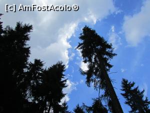 [P29] Cer și brazi » foto by crismis
 - 
<span class="allrVoted glyphicon glyphicon-heart hidden" id="av795704"></span>
<a class="m-l-10 hidden" id="sv795704" onclick="voting_Foto_DelVot(,795704,5815)" role="button">șterge vot <span class="glyphicon glyphicon-remove"></span></a>
<a id="v9795704" class=" c-red"  onclick="voting_Foto_SetVot(795704)" role="button"><span class="glyphicon glyphicon-heart-empty"></span> <b>LIKE</b> = Votează poza</a> <img class="hidden"  id="f795704W9" src="/imagini/loader.gif" border="0" /><span class="AjErrMes hidden" id="e795704ErM"></span>