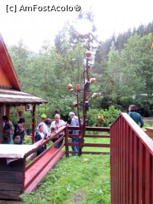 [P07] În curtea gospodăriei » foto by Michi
 - 
<span class="allrVoted glyphicon glyphicon-heart hidden" id="av1002460"></span>
<a class="m-l-10 hidden" id="sv1002460" onclick="voting_Foto_DelVot(,1002460,5815)" role="button">șterge vot <span class="glyphicon glyphicon-remove"></span></a>
<a id="v91002460" class=" c-red"  onclick="voting_Foto_SetVot(1002460)" role="button"><span class="glyphicon glyphicon-heart-empty"></span> <b>LIKE</b> = Votează poza</a> <img class="hidden"  id="f1002460W9" src="/imagini/loader.gif" border="0" /><span class="AjErrMes hidden" id="e1002460ErM"></span>