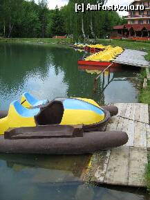 [P19] se gaseste cate ceva de facut pentru fiecare » foto by adria
 - 
<span class="allrVoted glyphicon glyphicon-heart hidden" id="av76711"></span>
<a class="m-l-10 hidden" id="sv76711" onclick="voting_Foto_DelVot(,76711,5817)" role="button">șterge vot <span class="glyphicon glyphicon-remove"></span></a>
<a id="v976711" class=" c-red"  onclick="voting_Foto_SetVot(76711)" role="button"><span class="glyphicon glyphicon-heart-empty"></span> <b>LIKE</b> = Votează poza</a> <img class="hidden"  id="f76711W9" src="/imagini/loader.gif" border="0" /><span class="AjErrMes hidden" id="e76711ErM"></span>