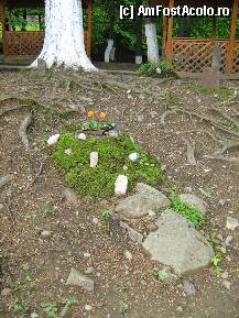 [P21] o mana de ajutor data frumosului din natura » foto by adria
 - 
<span class="allrVoted glyphicon glyphicon-heart hidden" id="av76713"></span>
<a class="m-l-10 hidden" id="sv76713" onclick="voting_Foto_DelVot(,76713,5817)" role="button">șterge vot <span class="glyphicon glyphicon-remove"></span></a>
<a id="v976713" class=" c-red"  onclick="voting_Foto_SetVot(76713)" role="button"><span class="glyphicon glyphicon-heart-empty"></span> <b>LIKE</b> = Votează poza</a> <img class="hidden"  id="f76713W9" src="/imagini/loader.gif" border="0" /><span class="AjErrMes hidden" id="e76713ErM"></span>