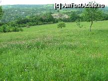 [P09] o portie de ozon la inceput de zi in poiana manastirii Sfanta Maria » foto by adria
 - 
<span class="allrVoted glyphicon glyphicon-heart hidden" id="av76701"></span>
<a class="m-l-10 hidden" id="sv76701" onclick="voting_Foto_DelVot(,76701,5817)" role="button">șterge vot <span class="glyphicon glyphicon-remove"></span></a>
<a id="v976701" class=" c-red"  onclick="voting_Foto_SetVot(76701)" role="button"><span class="glyphicon glyphicon-heart-empty"></span> <b>LIKE</b> = Votează poza</a> <img class="hidden"  id="f76701W9" src="/imagini/loader.gif" border="0" /><span class="AjErrMes hidden" id="e76701ErM"></span>