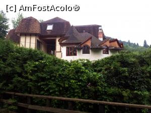 [P04]  -- <small>// FĂRĂ DESCRIERE</small> » foto by Cristina Hriscu
 - 
<span class="allrVoted glyphicon glyphicon-heart hidden" id="av995069"></span>
<a class="m-l-10 hidden" id="sv995069" onclick="voting_Foto_DelVot(,995069,5824)" role="button">șterge vot <span class="glyphicon glyphicon-remove"></span></a>
<a id="v9995069" class=" c-red"  onclick="voting_Foto_SetVot(995069)" role="button"><span class="glyphicon glyphicon-heart-empty"></span> <b>LIKE</b> = Votează poza</a> <img class="hidden"  id="f995069W9" src="/imagini/loader.gif" border="0" /><span class="AjErrMes hidden" id="e995069ErM"></span>