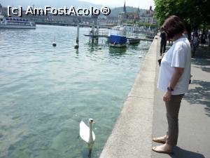 [P09] Elvetia - Luzern - ca-ntre fete... 'da, tu, se poarta albul! ' » foto by Bujie
 - 
<span class="allrVoted glyphicon glyphicon-heart hidden" id="av952641"></span>
<a class="m-l-10 hidden" id="sv952641" onclick="voting_Foto_DelVot(,952641,5826)" role="button">șterge vot <span class="glyphicon glyphicon-remove"></span></a>
<a id="v9952641" class=" c-red"  onclick="voting_Foto_SetVot(952641)" role="button"><span class="glyphicon glyphicon-heart-empty"></span> <b>LIKE</b> = Votează poza</a> <img class="hidden"  id="f952641W9" src="/imagini/loader.gif" border="0" /><span class="AjErrMes hidden" id="e952641ErM"></span>