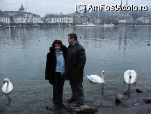 [P29] pregatindu-ne de imbarcare , lebedele si lacul Lucerna. » foto by ARA
 - 
<span class="allrVoted glyphicon glyphicon-heart hidden" id="av77123"></span>
<a class="m-l-10 hidden" id="sv77123" onclick="voting_Foto_DelVot(,77123,5826)" role="button">șterge vot <span class="glyphicon glyphicon-remove"></span></a>
<a id="v977123" class=" c-red"  onclick="voting_Foto_SetVot(77123)" role="button"><span class="glyphicon glyphicon-heart-empty"></span> <b>LIKE</b> = Votează poza</a> <img class="hidden"  id="f77123W9" src="/imagini/loader.gif" border="0" /><span class="AjErrMes hidden" id="e77123ErM"></span>
