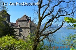 [P11] Castelul Chiilon pe malul lacului Leman, superb!  » foto by bucşa ioan*
 - 
<span class="allrVoted glyphicon glyphicon-heart hidden" id="av915606"></span>
<a class="m-l-10 hidden" id="sv915606" onclick="voting_Foto_DelVot(,915606,5826)" role="button">șterge vot <span class="glyphicon glyphicon-remove"></span></a>
<a id="v9915606" class=" c-red"  onclick="voting_Foto_SetVot(915606)" role="button"><span class="glyphicon glyphicon-heart-empty"></span> <b>LIKE</b> = Votează poza</a> <img class="hidden"  id="f915606W9" src="/imagini/loader.gif" border="0" /><span class="AjErrMes hidden" id="e915606ErM"></span>