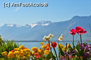 [P12] din Montreux spre Alpii francezi dincolo de lacul Leman » foto by bucşa ioan*
 - 
<span class="allrVoted glyphicon glyphicon-heart hidden" id="av915610"></span>
<a class="m-l-10 hidden" id="sv915610" onclick="voting_Foto_DelVot(,915610,5826)" role="button">șterge vot <span class="glyphicon glyphicon-remove"></span></a>
<a id="v9915610" class=" c-red"  onclick="voting_Foto_SetVot(915610)" role="button"><span class="glyphicon glyphicon-heart-empty"></span> <b>LIKE</b> = Votează poza</a> <img class="hidden"  id="f915610W9" src="/imagini/loader.gif" border="0" /><span class="AjErrMes hidden" id="e915610ErM"></span>