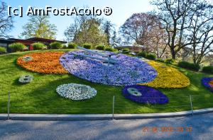 [P08] ceasul floral » foto by bucşa ioan*
 - 
<span class="allrVoted glyphicon glyphicon-heart hidden" id="av915603"></span>
<a class="m-l-10 hidden" id="sv915603" onclick="voting_Foto_DelVot(,915603,5826)" role="button">șterge vot <span class="glyphicon glyphicon-remove"></span></a>
<a id="v9915603" class=" c-red"  onclick="voting_Foto_SetVot(915603)" role="button"><span class="glyphicon glyphicon-heart-empty"></span> <b>LIKE</b> = Votează poza</a> <img class="hidden"  id="f915603W9" src="/imagini/loader.gif" border="0" /><span class="AjErrMes hidden" id="e915603ErM"></span>