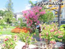 [P15] Parc in Montreux » foto by Michi
 - 
<span class="allrVoted glyphicon glyphicon-heart hidden" id="av123910"></span>
<a class="m-l-10 hidden" id="sv123910" onclick="voting_Foto_DelVot(,123910,5826)" role="button">șterge vot <span class="glyphicon glyphicon-remove"></span></a>
<a id="v9123910" class=" c-red"  onclick="voting_Foto_SetVot(123910)" role="button"><span class="glyphicon glyphicon-heart-empty"></span> <b>LIKE</b> = Votează poza</a> <img class="hidden"  id="f123910W9" src="/imagini/loader.gif" border="0" /><span class="AjErrMes hidden" id="e123910ErM"></span>