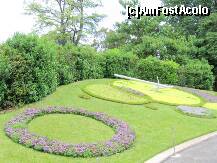 [P07] Geneva- ceas floral » foto by Michi
 - 
<span class="allrVoted glyphicon glyphicon-heart hidden" id="av123880"></span>
<a class="m-l-10 hidden" id="sv123880" onclick="voting_Foto_DelVot(,123880,5826)" role="button">șterge vot <span class="glyphicon glyphicon-remove"></span></a>
<a id="v9123880" class=" c-red"  onclick="voting_Foto_SetVot(123880)" role="button"><span class="glyphicon glyphicon-heart-empty"></span> <b>LIKE</b> = Votează poza</a> <img class="hidden"  id="f123880W9" src="/imagini/loader.gif" border="0" /><span class="AjErrMes hidden" id="e123880ErM"></span>