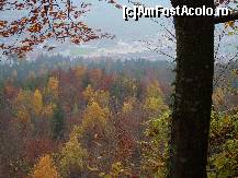 [P01] vedere de pe weg der schweiz spre Brunnen » foto by dandana
 - 
<span class="allrVoted glyphicon glyphicon-heart hidden" id="av163681"></span>
<a class="m-l-10 hidden" id="sv163681" onclick="voting_Foto_DelVot(,163681,5826)" role="button">șterge vot <span class="glyphicon glyphicon-remove"></span></a>
<a id="v9163681" class=" c-red"  onclick="voting_Foto_SetVot(163681)" role="button"><span class="glyphicon glyphicon-heart-empty"></span> <b>LIKE</b> = Votează poza</a> <img class="hidden"  id="f163681W9" src="/imagini/loader.gif" border="0" /><span class="AjErrMes hidden" id="e163681ErM"></span>