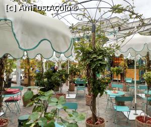 [P12] Bonjour Café din parcul Mihai Eminescu » foto by kemi27
 - 
<span class="allrVoted glyphicon glyphicon-heart hidden" id="av1501967"></span>
<a class="m-l-10 hidden" id="sv1501967" onclick="voting_Foto_DelVot(,1501967,5834)" role="button">șterge vot <span class="glyphicon glyphicon-remove"></span></a>
<a id="v91501967" class=" c-red"  onclick="voting_Foto_SetVot(1501967)" role="button"><span class="glyphicon glyphicon-heart-empty"></span> <b>LIKE</b> = Votează poza</a> <img class="hidden"  id="f1501967W9" src="/imagini/loader.gif" border="0" /><span class="AjErrMes hidden" id="e1501967ErM"></span>