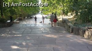 [P19] Pe aceste scări se coboară la lacul Valea Morilor din oraşul Chişinău, Republica Moldova.  » foto by traian.leuca †
 - 
<span class="allrVoted glyphicon glyphicon-heart hidden" id="av793023"></span>
<a class="m-l-10 hidden" id="sv793023" onclick="voting_Foto_DelVot(,793023,5834)" role="button">șterge vot <span class="glyphicon glyphicon-remove"></span></a>
<a id="v9793023" class=" c-red"  onclick="voting_Foto_SetVot(793023)" role="button"><span class="glyphicon glyphicon-heart-empty"></span> <b>LIKE</b> = Votează poza</a> <img class="hidden"  id="f793023W9" src="/imagini/loader.gif" border="0" /><span class="AjErrMes hidden" id="e793023ErM"></span>