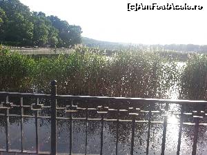 [P08] Zona de stufaris pe lac » foto by Dan&Ema
 - 
<span class="allrVoted glyphicon glyphicon-heart hidden" id="av619551"></span>
<a class="m-l-10 hidden" id="sv619551" onclick="voting_Foto_DelVot(,619551,5834)" role="button">șterge vot <span class="glyphicon glyphicon-remove"></span></a>
<a id="v9619551" class=" c-red"  onclick="voting_Foto_SetVot(619551)" role="button"><span class="glyphicon glyphicon-heart-empty"></span> <b>LIKE</b> = Votează poza</a> <img class="hidden"  id="f619551W9" src="/imagini/loader.gif" border="0" /><span class="AjErrMes hidden" id="e619551ErM"></span>