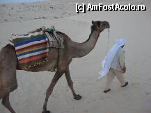 [P49] cum credeti ca v-ati fi simtit pe o astfel de 'sa ' ? eu - nu prea bine !Remarcati asemanarea cromatica si ca model cu cergile si tolurile romanesti ! » foto by ileana45
 - 
<span class="allrVoted glyphicon glyphicon-heart hidden" id="av215967"></span>
<a class="m-l-10 hidden" id="sv215967" onclick="voting_Foto_DelVot(,215967,5836)" role="button">șterge vot <span class="glyphicon glyphicon-remove"></span></a>
<a id="v9215967" class=" c-red"  onclick="voting_Foto_SetVot(215967)" role="button"><span class="glyphicon glyphicon-heart-empty"></span> <b>LIKE</b> = Votează poza</a> <img class="hidden"  id="f215967W9" src="/imagini/loader.gif" border="0" /><span class="AjErrMes hidden" id="e215967ErM"></span>