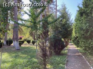 [P10] In parcul din staiunea Goagiu » foto by aurora56
 - 
<span class="allrVoted glyphicon glyphicon-heart hidden" id="av1393044"></span>
<a class="m-l-10 hidden" id="sv1393044" onclick="voting_Foto_DelVot(,1393044,5840)" role="button">șterge vot <span class="glyphicon glyphicon-remove"></span></a>
<a id="v91393044" class=" c-red"  onclick="voting_Foto_SetVot(1393044)" role="button"><span class="glyphicon glyphicon-heart-empty"></span> <b>LIKE</b> = Votează poza</a> <img class="hidden"  id="f1393044W9" src="/imagini/loader.gif" border="0" /><span class="AjErrMes hidden" id="e1393044ErM"></span>