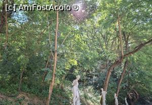 [P18] Alte statui ”romane” » foto by Carmen Ion
 - 
<span class="allrVoted glyphicon glyphicon-heart hidden" id="av1512483"></span>
<a class="m-l-10 hidden" id="sv1512483" onclick="voting_Foto_DelVot(,1512483,5840)" role="button">șterge vot <span class="glyphicon glyphicon-remove"></span></a>
<a id="v91512483" class=" c-red"  onclick="voting_Foto_SetVot(1512483)" role="button"><span class="glyphicon glyphicon-heart-empty"></span> <b>LIKE</b> = Votează poza</a> <img class="hidden"  id="f1512483W9" src="/imagini/loader.gif" border="0" /><span class="AjErrMes hidden" id="e1512483ErM"></span>