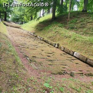 [P19] Drumul pavat al dacilor » foto by dorgo
 - 
<span class="allrVoted glyphicon glyphicon-heart hidden" id="av1364553"></span>
<a class="m-l-10 hidden" id="sv1364553" onclick="voting_Foto_DelVot(,1364553,5840)" role="button">șterge vot <span class="glyphicon glyphicon-remove"></span></a>
<a id="v91364553" class=" c-red"  onclick="voting_Foto_SetVot(1364553)" role="button"><span class="glyphicon glyphicon-heart-empty"></span> <b>LIKE</b> = Votează poza</a> <img class="hidden"  id="f1364553W9" src="/imagini/loader.gif" border="0" /><span class="AjErrMes hidden" id="e1364553ErM"></span>