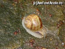 [P16] un falnic aparator al Cetatii de Scaun... » foto by Sanziana
 - 
<span class="allrVoted glyphicon glyphicon-heart hidden" id="av78231"></span>
<a class="m-l-10 hidden" id="sv78231" onclick="voting_Foto_DelVot(,78231,5846)" role="button">șterge vot <span class="glyphicon glyphicon-remove"></span></a>
<a id="v978231" class=" c-red"  onclick="voting_Foto_SetVot(78231)" role="button"><span class="glyphicon glyphicon-heart-empty"></span> <b>LIKE</b> = Votează poza</a> <img class="hidden"  id="f78231W9" src="/imagini/loader.gif" border="0" /><span class="AjErrMes hidden" id="e78231ErM"></span>