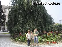 [P06]  -- <small>// FĂRĂ DESCRIERE</small> » foto by edilauragabi
 - 
<span class="allrVoted glyphicon glyphicon-heart hidden" id="av108833"></span>
<a class="m-l-10 hidden" id="sv108833" onclick="voting_Foto_DelVot(,108833,5852)" role="button">șterge vot <span class="glyphicon glyphicon-remove"></span></a>
<a id="v9108833" class=" c-red"  onclick="voting_Foto_SetVot(108833)" role="button"><span class="glyphicon glyphicon-heart-empty"></span> <b>LIKE</b> = Votează poza</a> <img class="hidden"  id="f108833W9" src="/imagini/loader.gif" border="0" /><span class="AjErrMes hidden" id="e108833ErM"></span>