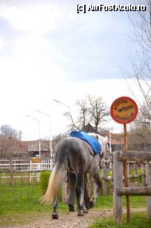 [P12]  -- <small>// FĂRĂ DESCRIERE</small> » foto by elenahelen
 - 
<span class="allrVoted glyphicon glyphicon-heart hidden" id="av309433"></span>
<a class="m-l-10 hidden" id="sv309433" onclick="voting_Foto_DelVot(,309433,5855)" role="button">șterge vot <span class="glyphicon glyphicon-remove"></span></a>
<a id="v9309433" class=" c-red"  onclick="voting_Foto_SetVot(309433)" role="button"><span class="glyphicon glyphicon-heart-empty"></span> <b>LIKE</b> = Votează poza</a> <img class="hidden"  id="f309433W9" src="/imagini/loader.gif" border="0" /><span class="AjErrMes hidden" id="e309433ErM"></span>
