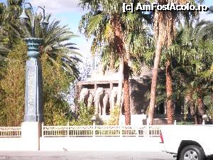 [P32] elefantii din gradina hotelui Mandalay Bay » foto by grecudoina
 - 
<span class="allrVoted glyphicon glyphicon-heart hidden" id="av355916"></span>
<a class="m-l-10 hidden" id="sv355916" onclick="voting_Foto_DelVot(,355916,5857)" role="button">șterge vot <span class="glyphicon glyphicon-remove"></span></a>
<a id="v9355916" class=" c-red"  onclick="voting_Foto_SetVot(355916)" role="button"><span class="glyphicon glyphicon-heart-empty"></span> <b>LIKE</b> = Votează poza</a> <img class="hidden"  id="f355916W9" src="/imagini/loader.gif" border="0" /><span class="AjErrMes hidden" id="e355916ErM"></span>