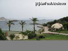 [P23]  -- <small>// FĂRĂ DESCRIERE</small> » foto by MARIA-ADRIANA*
 - 
<span class="allrVoted glyphicon glyphicon-heart hidden" id="av78307"></span>
<a class="m-l-10 hidden" id="sv78307" onclick="voting_Foto_DelVot(,78307,5859)" role="button">șterge vot <span class="glyphicon glyphicon-remove"></span></a>
<a id="v978307" class=" c-red"  onclick="voting_Foto_SetVot(78307)" role="button"><span class="glyphicon glyphicon-heart-empty"></span> <b>LIKE</b> = Votează poza</a> <img class="hidden"  id="f78307W9" src="/imagini/loader.gif" border="0" /><span class="AjErrMes hidden" id="e78307ErM"></span>