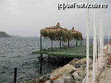 [P27]  -- <small>// FĂRĂ DESCRIERE</small> » foto by MARIA-ADRIANA*
 - 
<span class="allrVoted glyphicon glyphicon-heart hidden" id="av78312"></span>
<a class="m-l-10 hidden" id="sv78312" onclick="voting_Foto_DelVot(,78312,5859)" role="button">șterge vot <span class="glyphicon glyphicon-remove"></span></a>
<a id="v978312" class=" c-red"  onclick="voting_Foto_SetVot(78312)" role="button"><span class="glyphicon glyphicon-heart-empty"></span> <b>LIKE</b> = Votează poza</a> <img class="hidden"  id="f78312W9" src="/imagini/loader.gif" border="0" /><span class="AjErrMes hidden" id="e78312ErM"></span>