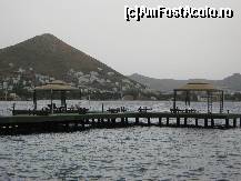 [P28]  -- <small>// FĂRĂ DESCRIERE</small> » foto by MARIA-ADRIANA*
 - 
<span class="allrVoted glyphicon glyphicon-heart hidden" id="av78313"></span>
<a class="m-l-10 hidden" id="sv78313" onclick="voting_Foto_DelVot(,78313,5859)" role="button">șterge vot <span class="glyphicon glyphicon-remove"></span></a>
<a id="v978313" class=" c-red"  onclick="voting_Foto_SetVot(78313)" role="button"><span class="glyphicon glyphicon-heart-empty"></span> <b>LIKE</b> = Votează poza</a> <img class="hidden"  id="f78313W9" src="/imagini/loader.gif" border="0" /><span class="AjErrMes hidden" id="e78313ErM"></span>