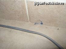 [P09]  -- <small>// FĂRĂ DESCRIERE</small> » foto by MARIA-ADRIANA*
 - 
<span class="allrVoted glyphicon glyphicon-heart hidden" id="av78288"></span>
<a class="m-l-10 hidden" id="sv78288" onclick="voting_Foto_DelVot(,78288,5859)" role="button">șterge vot <span class="glyphicon glyphicon-remove"></span></a>
<a id="v978288" class=" c-red"  onclick="voting_Foto_SetVot(78288)" role="button"><span class="glyphicon glyphicon-heart-empty"></span> <b>LIKE</b> = Votează poza</a> <img class="hidden"  id="f78288W9" src="/imagini/loader.gif" border="0" /><span class="AjErrMes hidden" id="e78288ErM"></span>