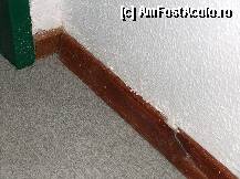 [P03] Plafonul ca plafonul dar apa trebuia sa curga pe jos, nici pervazurile nu au scapat » foto by dannek
 - 
<span class="allrVoted glyphicon glyphicon-heart hidden" id="av78669"></span>
<a class="m-l-10 hidden" id="sv78669" onclick="voting_Foto_DelVot(,78669,5871)" role="button">șterge vot <span class="glyphicon glyphicon-remove"></span></a>
<a id="v978669" class=" c-red"  onclick="voting_Foto_SetVot(78669)" role="button"><span class="glyphicon glyphicon-heart-empty"></span> <b>LIKE</b> = Votează poza</a> <img class="hidden"  id="f78669W9" src="/imagini/loader.gif" border="0" /><span class="AjErrMes hidden" id="e78669ErM"></span>