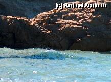 [P05] Plaja Banana unde erau si multi nudisti, pozele cu ei sau voalat :)) » foto by dannek
 - 
<span class="allrVoted glyphicon glyphicon-heart hidden" id="av78671"></span>
<a class="m-l-10 hidden" id="sv78671" onclick="voting_Foto_DelVot(,78671,5871)" role="button">șterge vot <span class="glyphicon glyphicon-remove"></span></a>
<a id="v978671" class=" c-red"  onclick="voting_Foto_SetVot(78671)" role="button"><span class="glyphicon glyphicon-heart-empty"></span> <b>LIKE</b> = Votează poza</a> <img class="hidden"  id="f78671W9" src="/imagini/loader.gif" border="0" /><span class="AjErrMes hidden" id="e78671ErM"></span>