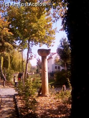 [P18] Toamna la Dervent...  » foto by Floria
 - 
<span class="allrVoted glyphicon glyphicon-heart hidden" id="av942143"></span>
<a class="m-l-10 hidden" id="sv942143" onclick="voting_Foto_DelVot(,942143,5875)" role="button">șterge vot <span class="glyphicon glyphicon-remove"></span></a>
<a id="v9942143" class=" c-red"  onclick="voting_Foto_SetVot(942143)" role="button"><span class="glyphicon glyphicon-heart-empty"></span> <b>LIKE</b> = Votează poza</a> <img class="hidden"  id="f942143W9" src="/imagini/loader.gif" border="0" /><span class="AjErrMes hidden" id="e942143ErM"></span>