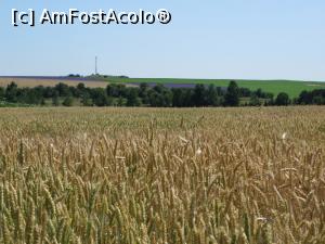 [P15] Fantezie de culori - după orașul Dobrich.  » foto by tata123 🔱
 - 
<span class="allrVoted glyphicon glyphicon-heart hidden" id="av869225"></span>
<a class="m-l-10 hidden" id="sv869225" onclick="voting_Foto_DelVot(,869225,5875)" role="button">șterge vot <span class="glyphicon glyphicon-remove"></span></a>
<a id="v9869225" class=" c-red"  onclick="voting_Foto_SetVot(869225)" role="button"><span class="glyphicon glyphicon-heart-empty"></span> <b>LIKE</b> = Votează poza</a> <img class="hidden"  id="f869225W9" src="/imagini/loader.gif" border="0" /><span class="AjErrMes hidden" id="e869225ErM"></span>