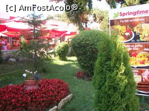 [P01] Trecand pe langa Springtime...  » foto by cristina47*
 - 
<span class="allrVoted glyphicon glyphicon-heart hidden" id="av897551"></span>
<a class="m-l-10 hidden" id="sv897551" onclick="voting_Foto_DelVot(,897551,5877)" role="button">șterge vot <span class="glyphicon glyphicon-remove"></span></a>
<a id="v9897551" class=" c-red"  onclick="voting_Foto_SetVot(897551)" role="button"><span class="glyphicon glyphicon-heart-empty"></span> <b>LIKE</b> = Votează poza</a> <img class="hidden"  id="f897551W9" src="/imagini/loader.gif" border="0" /><span class="AjErrMes hidden" id="e897551ErM"></span>