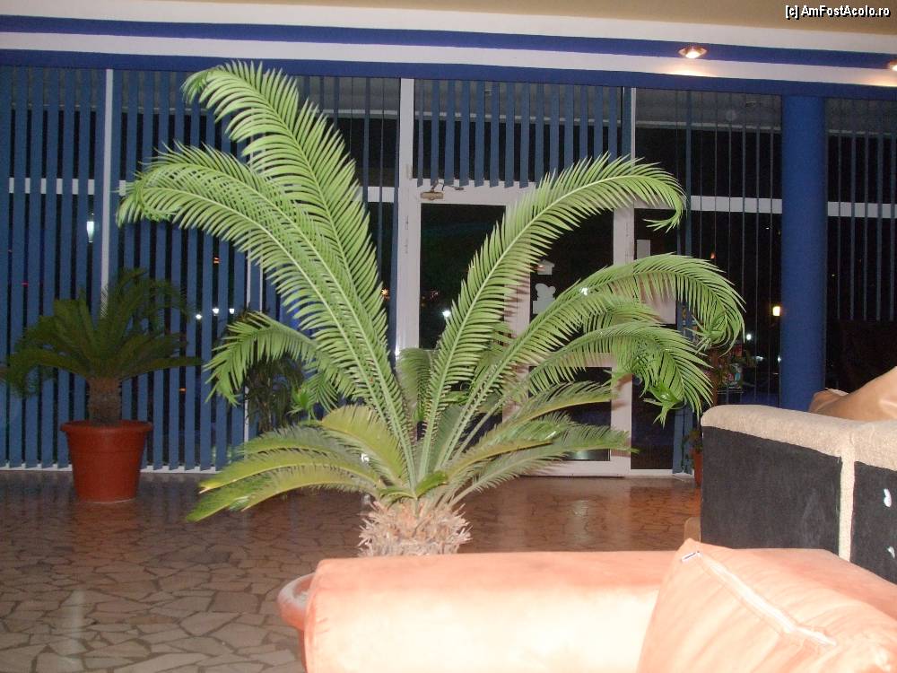 [P50] usa de intrare in hotel! dupa cum se vede e inchisa! atunci era bine ca era si afara racoare, dar peste cateva zile cand s-a incalzit, ziua era naspa rau, mureai de cald in lobby!  » foto by bigu_2006_rapid
 - 
<span class="allrVoted glyphicon glyphicon-heart hidden" id="av359375"></span>
<a class="m-l-10 hidden" id="sv359375" onclick="voting_Foto_DelVot(,359375,5878)" role="button">șterge vot <span class="glyphicon glyphicon-remove"></span></a>
<a id="v9359375" class=" c-red"  onclick="voting_Foto_SetVot(359375)" role="button"><span class="glyphicon glyphicon-heart-empty"></span> <b>LIKE</b> = Votează poza</a> <img class="hidden"  id="f359375W9" src="/imagini/loader.gif" border="0" /><span class="AjErrMes hidden" id="e359375ErM"></span>