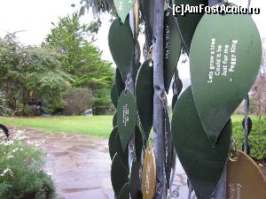 [P17] Poolewe - Inverewe Garden și micuțele mesaje cu substrat eco prezente pe post de frunze (nice idea)  » foto by ariciu*
 - 
<span class="allrVoted glyphicon glyphicon-heart hidden" id="av574222"></span>
<a class="m-l-10 hidden" id="sv574222" onclick="voting_Foto_DelVot(,574222,5887)" role="button">șterge vot <span class="glyphicon glyphicon-remove"></span></a>
<a id="v9574222" class=" c-red"  onclick="voting_Foto_SetVot(574222)" role="button"><span class="glyphicon glyphicon-heart-empty"></span> <b>LIKE</b> = Votează poza</a> <img class="hidden"  id="f574222W9" src="/imagini/loader.gif" border="0" /><span class="AjErrMes hidden" id="e574222ErM"></span>