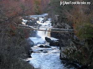 [P06] Rogie Falls împreună cu podul pe care eu cu siguranță nu m-aș fi plimbat, părea instabil dar era frumooos!  » foto by ariciu*
 - 
<span class="allrVoted glyphicon glyphicon-heart hidden" id="av574211"></span>
<a class="m-l-10 hidden" id="sv574211" onclick="voting_Foto_DelVot(,574211,5887)" role="button">șterge vot <span class="glyphicon glyphicon-remove"></span></a>
<a id="v9574211" class=" c-red"  onclick="voting_Foto_SetVot(574211)" role="button"><span class="glyphicon glyphicon-heart-empty"></span> <b>LIKE</b> = Votează poza</a> <img class="hidden"  id="f574211W9" src="/imagini/loader.gif" border="0" /><span class="AjErrMes hidden" id="e574211ErM"></span>