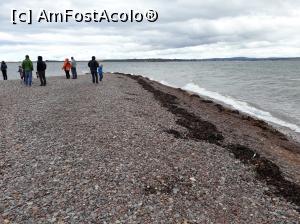 [P02] Capul Chanonry, aproape de Fortrose, un estuar unde Garry, gazda din Dufftown ne-a trimis sa vedem delfini.  » foto by Aurici
 - 
<span class="allrVoted glyphicon glyphicon-heart hidden" id="av930139"></span>
<a class="m-l-10 hidden" id="sv930139" onclick="voting_Foto_DelVot(,930139,5887)" role="button">șterge vot <span class="glyphicon glyphicon-remove"></span></a>
<a id="v9930139" class=" c-red"  onclick="voting_Foto_SetVot(930139)" role="button"><span class="glyphicon glyphicon-heart-empty"></span> <b>LIKE</b> = Votează poza</a> <img class="hidden"  id="f930139W9" src="/imagini/loader.gif" border="0" /><span class="AjErrMes hidden" id="e930139ErM"></span>