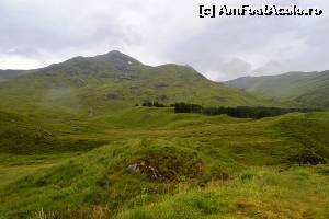 [P01] Drumul spre Skye - peisaj » foto by makuy*
 - 
<span class="allrVoted glyphicon glyphicon-heart hidden" id="av653488"></span>
<a class="m-l-10 hidden" id="sv653488" onclick="voting_Foto_DelVot(,653488,5887)" role="button">șterge vot <span class="glyphicon glyphicon-remove"></span></a>
<a id="v9653488" class=" c-red"  onclick="voting_Foto_SetVot(653488)" role="button"><span class="glyphicon glyphicon-heart-empty"></span> <b>LIKE</b> = Votează poza</a> <img class="hidden"  id="f653488W9" src="/imagini/loader.gif" border="0" /><span class="AjErrMes hidden" id="e653488ErM"></span>