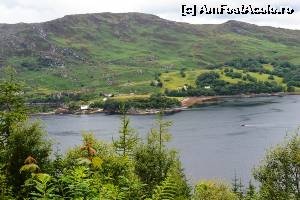 [P45] Din Loch în Loch » foto by makuy*
 - 
<span class="allrVoted glyphicon glyphicon-heart hidden" id="av653532"></span>
<a class="m-l-10 hidden" id="sv653532" onclick="voting_Foto_DelVot(,653532,5887)" role="button">șterge vot <span class="glyphicon glyphicon-remove"></span></a>
<a id="v9653532" class=" c-red"  onclick="voting_Foto_SetVot(653532)" role="button"><span class="glyphicon glyphicon-heart-empty"></span> <b>LIKE</b> = Votează poza</a> <img class="hidden"  id="f653532W9" src="/imagini/loader.gif" border="0" /><span class="AjErrMes hidden" id="e653532ErM"></span>
