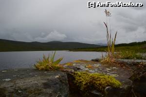 [P46] Din Loch în Loch » foto by makuy*
 - 
<span class="allrVoted glyphicon glyphicon-heart hidden" id="av653533"></span>
<a class="m-l-10 hidden" id="sv653533" onclick="voting_Foto_DelVot(,653533,5887)" role="button">șterge vot <span class="glyphicon glyphicon-remove"></span></a>
<a id="v9653533" class=" c-red"  onclick="voting_Foto_SetVot(653533)" role="button"><span class="glyphicon glyphicon-heart-empty"></span> <b>LIKE</b> = Votează poza</a> <img class="hidden"  id="f653533W9" src="/imagini/loader.gif" border="0" /><span class="AjErrMes hidden" id="e653533ErM"></span>