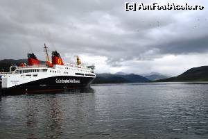 [P62] Ullapool - » foto by makuy*
 - 
<span class="allrVoted glyphicon glyphicon-heart hidden" id="av653549"></span>
<a class="m-l-10 hidden" id="sv653549" onclick="voting_Foto_DelVot(,653549,5887)" role="button">șterge vot <span class="glyphicon glyphicon-remove"></span></a>
<a id="v9653549" class=" c-red"  onclick="voting_Foto_SetVot(653549)" role="button"><span class="glyphicon glyphicon-heart-empty"></span> <b>LIKE</b> = Votează poza</a> <img class="hidden"  id="f653549W9" src="/imagini/loader.gif" border="0" /><span class="AjErrMes hidden" id="e653549ErM"></span>