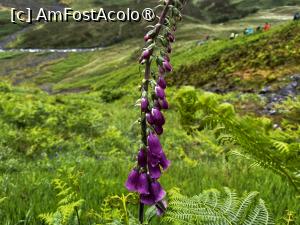 [P11] Spre Stob Coire nan Lochan » foto by Mika
 - 
<span class="allrVoted glyphicon glyphicon-heart hidden" id="av1486372"></span>
<a class="m-l-10 hidden" id="sv1486372" onclick="voting_Foto_DelVot(,1486372,5887)" role="button">șterge vot <span class="glyphicon glyphicon-remove"></span></a>
<a id="v91486372" class=" c-red"  onclick="voting_Foto_SetVot(1486372)" role="button"><span class="glyphicon glyphicon-heart-empty"></span> <b>LIKE</b> = Votează poza</a> <img class="hidden"  id="f1486372W9" src="/imagini/loader.gif" border="0" /><span class="AjErrMes hidden" id="e1486372ErM"></span>