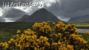 [P03] Scoția la prima vedere - de la Glasgow la Fort Wiliam » foto by Mika
 - 
<span class="allrVoted glyphicon glyphicon-heart hidden" id="av1486364"></span>
<a class="m-l-10 hidden" id="sv1486364" onclick="voting_Foto_DelVot(,1486364,5887)" role="button">șterge vot <span class="glyphicon glyphicon-remove"></span></a>
<a id="v91486364" class=" c-red"  onclick="voting_Foto_SetVot(1486364)" role="button"><span class="glyphicon glyphicon-heart-empty"></span> <b>LIKE</b> = Votează poza</a> <img class="hidden"  id="f1486364W9" src="/imagini/loader.gif" border="0" /><span class="AjErrMes hidden" id="e1486364ErM"></span>