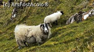 [P35] Isle of Skye - Quiraing » foto by Mika
 - 
<span class="allrVoted glyphicon glyphicon-heart hidden" id="av1486396"></span>
<a class="m-l-10 hidden" id="sv1486396" onclick="voting_Foto_DelVot(,1486396,5887)" role="button">șterge vot <span class="glyphicon glyphicon-remove"></span></a>
<a id="v91486396" class=" c-red"  onclick="voting_Foto_SetVot(1486396)" role="button"><span class="glyphicon glyphicon-heart-empty"></span> <b>LIKE</b> = Votează poza</a> <img class="hidden"  id="f1486396W9" src="/imagini/loader.gif" border="0" /><span class="AjErrMes hidden" id="e1486396ErM"></span>