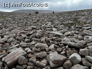 [P03] „mare de pietre” – un blockfield, adică o întindere formată din bolovani mari, modelați prin procese repetate de îngheț și dezgheț. » foto by Mika
 - 
<span class="allrVoted glyphicon glyphicon-heart hidden" id="av1486915"></span>
<a class="m-l-10 hidden" id="sv1486915" onclick="voting_Foto_DelVot(,1486915,5887)" role="button">șterge vot <span class="glyphicon glyphicon-remove"></span></a>
<a id="v91486915" class=" c-red"  onclick="voting_Foto_SetVot(1486915)" role="button"><span class="glyphicon glyphicon-heart-empty"></span> <b>LIKE</b> = Votează poza</a> <img class="hidden"  id="f1486915W9" src="/imagini/loader.gif" border="0" /><span class="AjErrMes hidden" id="e1486915ErM"></span>