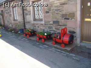 [P07] Aranjamente florale la ușile caselor, în stradă » foto by Marius 72
 - 
<span class="allrVoted glyphicon glyphicon-heart hidden" id="av1157281"></span>
<a class="m-l-10 hidden" id="sv1157281" onclick="voting_Foto_DelVot(,1157281,5887)" role="button">șterge vot <span class="glyphicon glyphicon-remove"></span></a>
<a id="v91157281" class=" c-red"  onclick="voting_Foto_SetVot(1157281)" role="button"><span class="glyphicon glyphicon-heart-empty"></span> <b>LIKE</b> = Votează poza</a> <img class="hidden"  id="f1157281W9" src="/imagini/loader.gif" border="0" /><span class="AjErrMes hidden" id="e1157281ErM"></span>