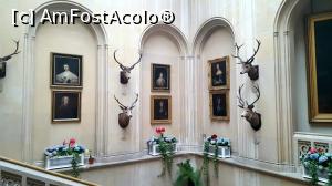[P03] scariel care duc catre apartamente, decorate cu hortensii albastre si amaryllis rosii » foto by geani anto
 - 
<span class="allrVoted glyphicon glyphicon-heart hidden" id="av999510"></span>
<a class="m-l-10 hidden" id="sv999510" onclick="voting_Foto_DelVot(,999510,5887)" role="button">șterge vot <span class="glyphicon glyphicon-remove"></span></a>
<a id="v9999510" class=" c-red"  onclick="voting_Foto_SetVot(999510)" role="button"><span class="glyphicon glyphicon-heart-empty"></span> <b>LIKE</b> = Votează poza</a> <img class="hidden"  id="f999510W9" src="/imagini/loader.gif" border="0" /><span class="AjErrMes hidden" id="e999510ErM"></span>