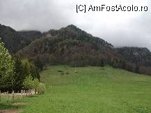 [P11] o parte din poiana de la Stana Regala » foto by liz5
 - 
<span class="allrVoted glyphicon glyphicon-heart hidden" id="av79367"></span>
<a class="m-l-10 hidden" id="sv79367" onclick="voting_Foto_DelVot(,79367,5893)" role="button">șterge vot <span class="glyphicon glyphicon-remove"></span></a>
<a id="v979367" class=" c-red"  onclick="voting_Foto_SetVot(79367)" role="button"><span class="glyphicon glyphicon-heart-empty"></span> <b>LIKE</b> = Votează poza</a> <img class="hidden"  id="f79367W9" src="/imagini/loader.gif" border="0" /><span class="AjErrMes hidden" id="e79367ErM"></span>